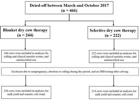 Impact of Selective Dry Cow Therapy on Antimicrobial Consumption, Udder ...