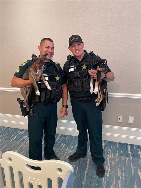 DIAL IT UP! – The blog site of the NSU Law Disability Inclusion and ...