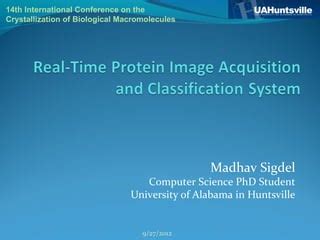 Image result for Protein Crystallization Image Magnification