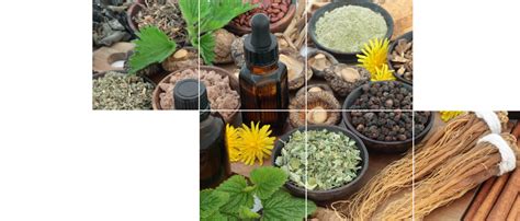 Transcend Infosystems Pvt. Ltd.