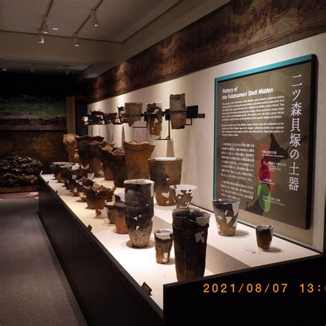 SHELL MIDDEN MUSEUM - All You Need to Know BEFORE You Go 2026 (with ...