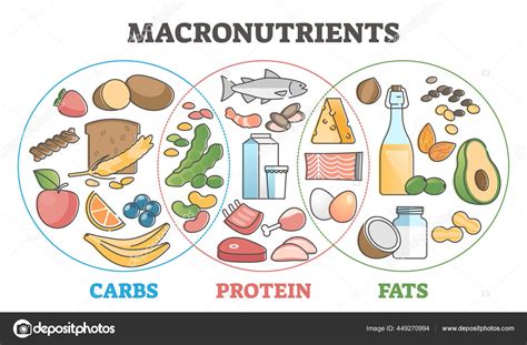 Image result for Macronutrients Basic Structure