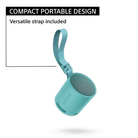 Sony SRS-XB100 Compact Portable Wireless Bluetooth Speaker – abuggy.com