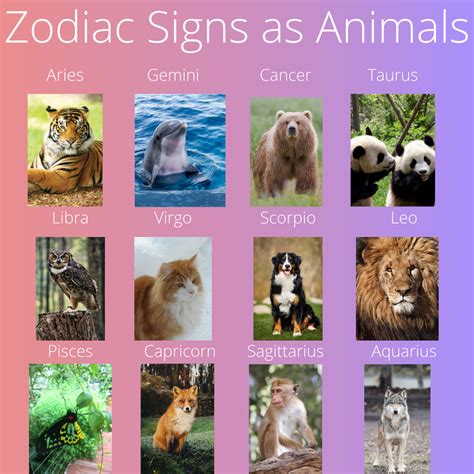 Zodiac signs as animals in 2024 | Zodiac signs funny, Zodiac signs ...