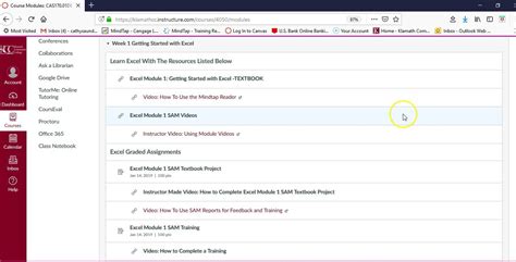 Image result for Excel 8 Project Module Amara