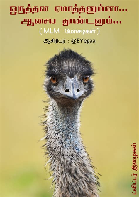 MLM Scams 的图像结果