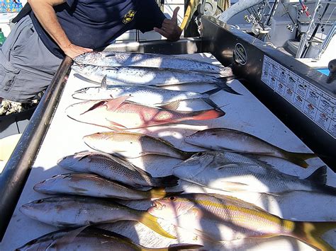 ANA BANANA FISHING COMPANY (2026) All You Need to Know BEFORE You Go ...