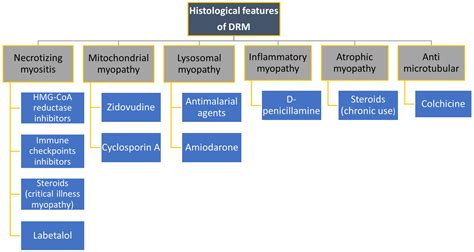 Drug-Induced Myopathies: A Comprehensive Review and Update