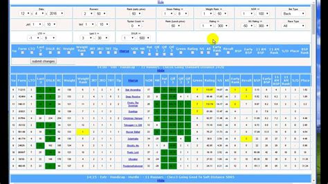 Handicapping Software 的图像结果