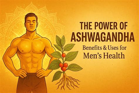 Ashwagandha Benefits for Men’s Health | VaghVeda