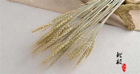 麦穗干花田园植物自然原色麦穗真麦子婚庆装饰拍摄道具-阿里巴巴