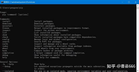 Python 3.10 Setup 的图像结果
