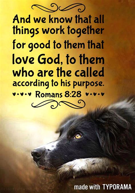 Animal Bible Quotes at Jo Diggs blog
