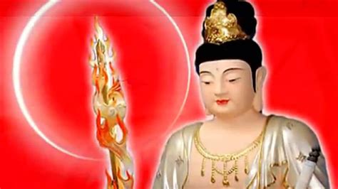 10,000+个最精彩的“佛教”视频 · 100%免费下载 · Pexels素材视频