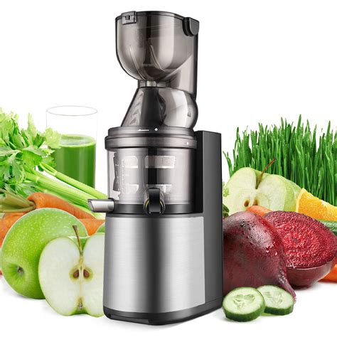 Breville Cold Press Juicer Manual at Victoria Hernandez blog
