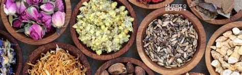 The Science-Backed Benefits of Ashwagandha for Stress Reduction ...