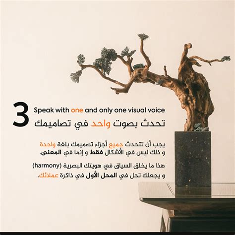 Image result for InDesign Rules