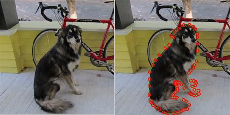 Image result for Annotation Tool in Deep Learning