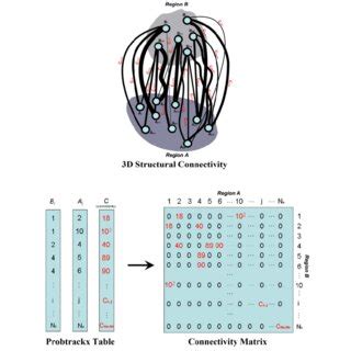 Image result for Connectivity Matrix
