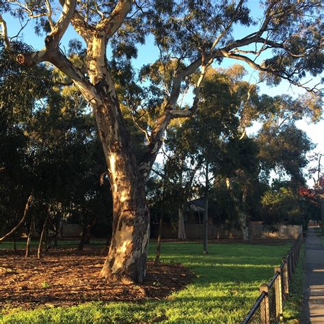 FERNDALE PARK (2026) All You Need to Know BEFORE You Go (with Photos ...