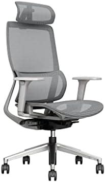 ErgoLab Swing Office Chair, High Back Ergonomic Mesh Office Chairs for ...