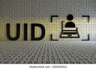 Image result for UID Project Examples