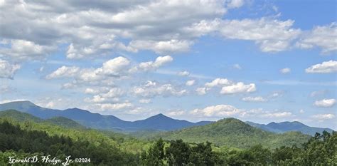 Coexisting with the American Black Bear, Amicalola Falls State Park ...