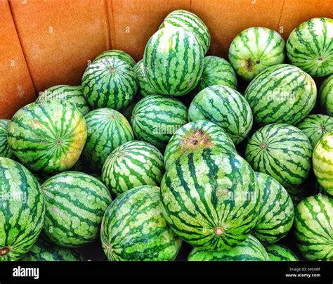 Watermelons sale hi-res stock photography and images - Alamy