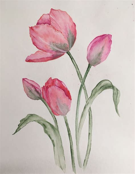 Pink Tulips Watercolor Painting