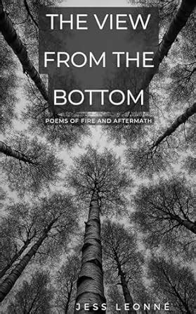 The View From The Bottom: Poems of Fire and Aftermath eBook : Leonnè ...