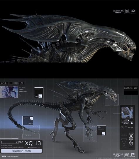 Alien 1 Xenomorph 的图像结果