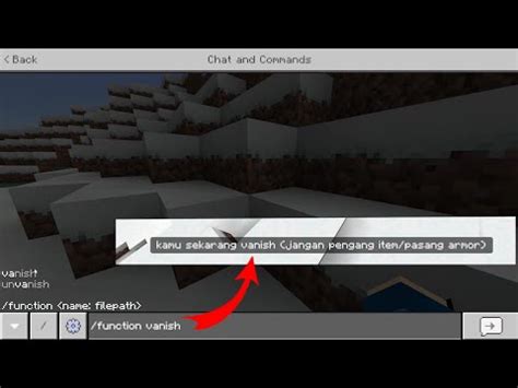 How to Vanish in Minecraft Java 的图像结果