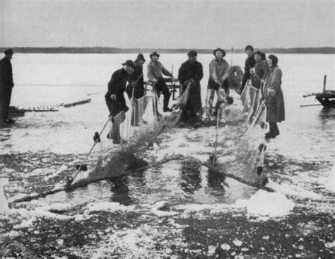 Fischer aus dem Memelland – GenWiki