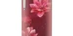 Haier HED-191TPRP 192 Ltr Single Door - Price in India, Specifications ...