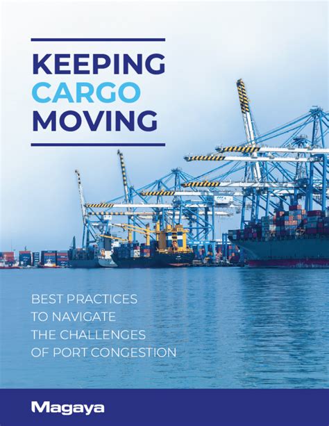 Image result for Tutorial Magaya