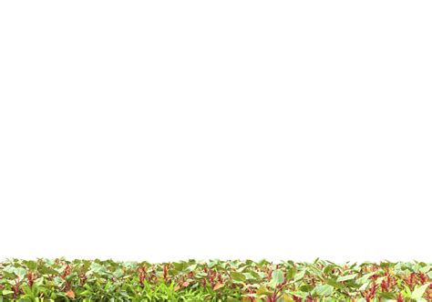 Agriculture PNG 的图像结果