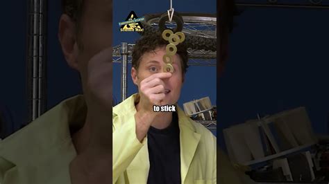 Science Max Experiments at Large Magnets 的图像结果