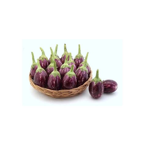 Brinjal - Dwarf Purple Round