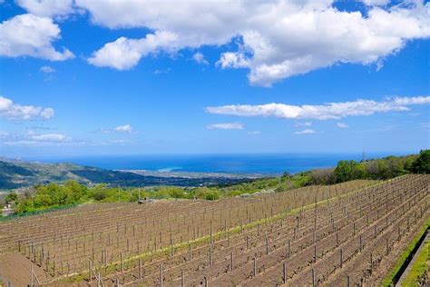 Taormina to Mt Etna and Alcantara Day Trip with Wine Tasting 2021 - Viator