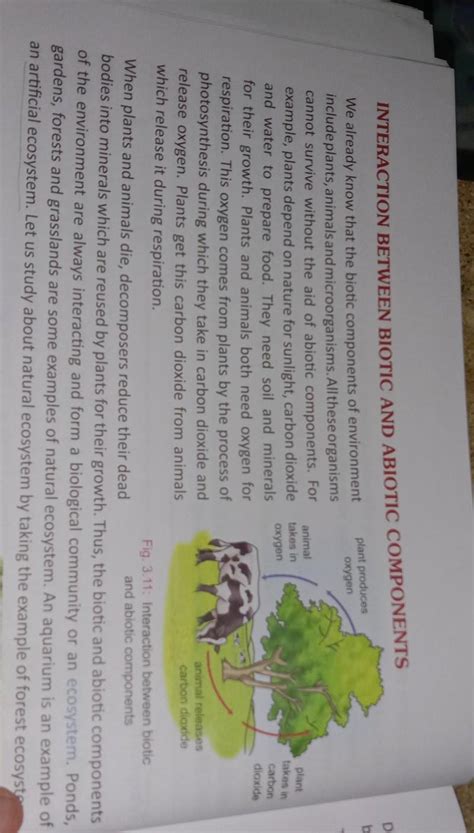 How are abiotic and biotic components interdependent? - Brainly.in