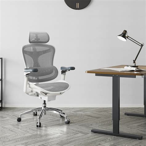 Sihoo Doro C300 Pro Ergonomic Office Chair Fully Loaded Comfort