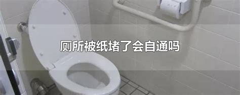 一楼厕所堵了怎么办_精选问答_学堂_齐家网