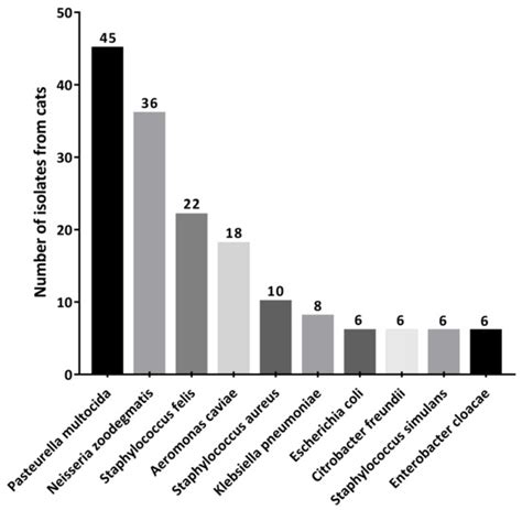 Characterization of Resistance and Virulence of Pasteurella multocida ...