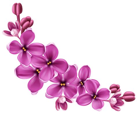 Purple Flowers PNG Image