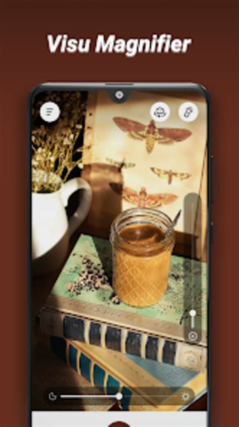 Magnifier 的图像结果