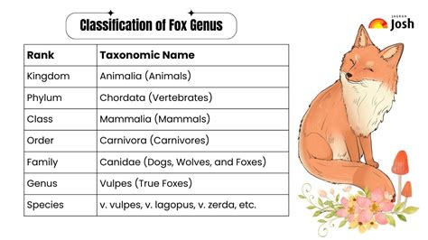 What is the Scientific Name of a Fox?