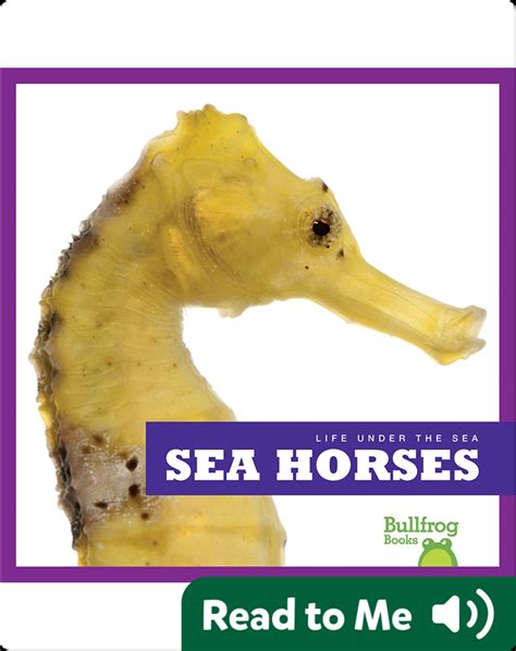 Life Under The Sea: Sea Horses Book by Cari Meister | Epic