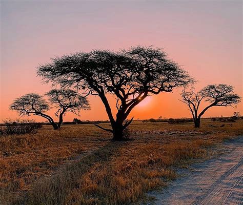 WANDERLUST CAMPERS AFRICA (Updated 2026) All You Need to Know BEFORE ...