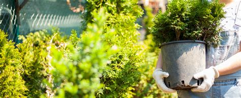 The Five Best Careers for People with Anxiety – Open Colleges