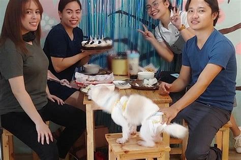 TEDDY SIP 'N BITES, Minglanilla - Restaurant Reviews & Photos - Tripadvisor